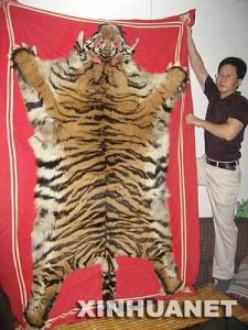 虎皮