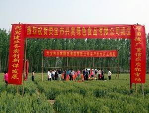 芳畈镇