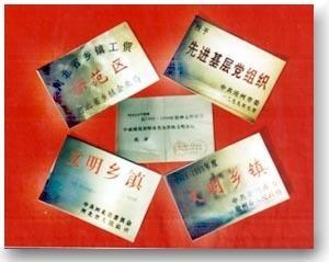 沙河桥镇