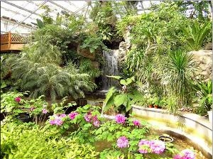 上海植物园
