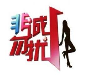电视相亲节目图册