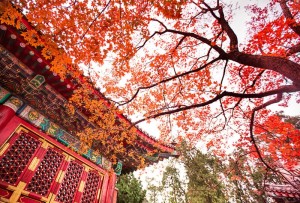 香山公园