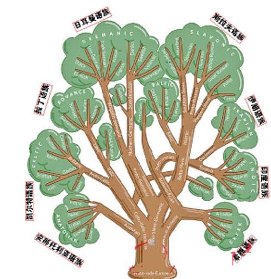 印欧语系树图片