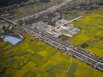 芦山县 风光