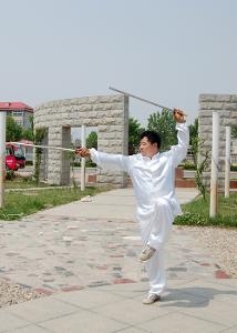 迷踪双锏