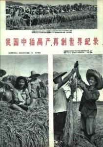 报纸（放卫星）