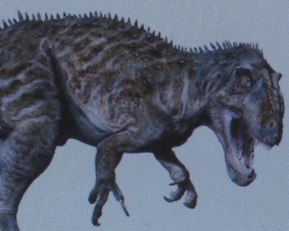 狒狒属于什么科类动物 0