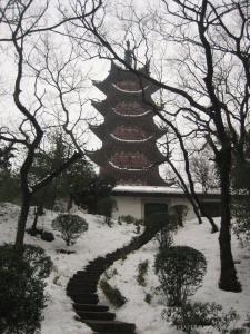 雪景