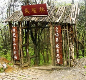 西岭雪山