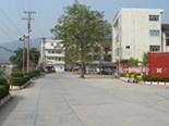 岐岭镇政府大道