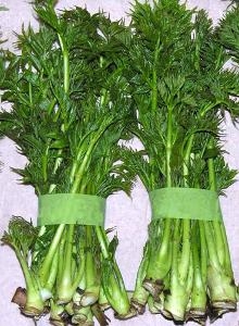 莼菜