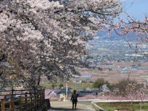 花鸟山