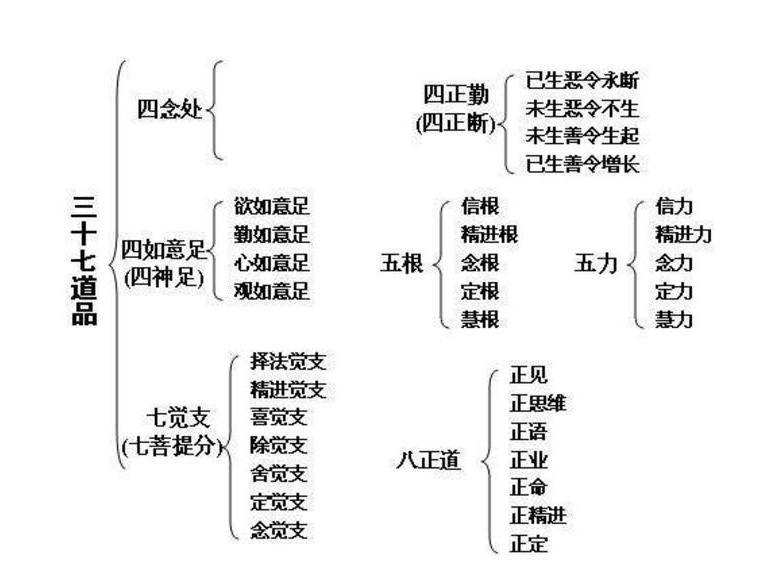 三十七道品 搜狗百科