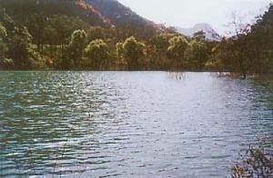 岐山山水
