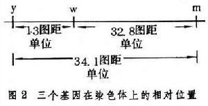 基因突变