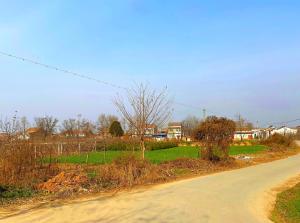 禹州市花石镇白北村人口_北村一辉(3)