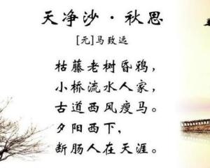 用天净沙秋思写一段话 300