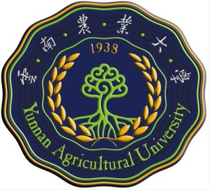 雲南農業大學論壇取名為同心亭,源於校內一古老的亭子.