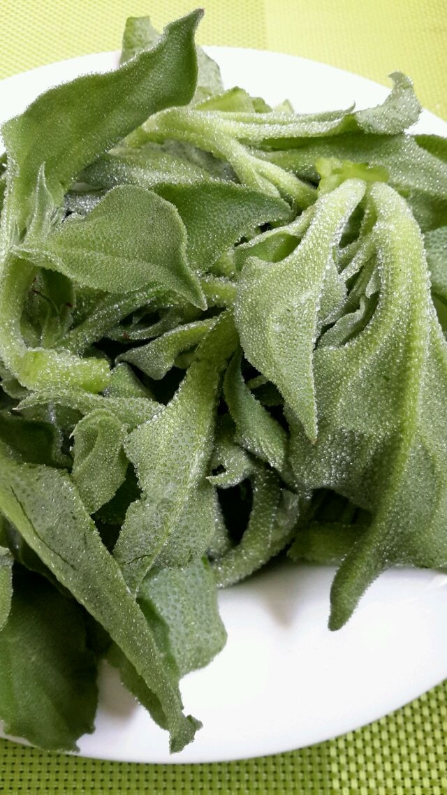 冰草(冰草怎么清洗)