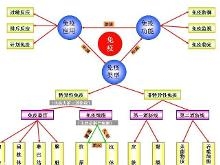 免疫树形图