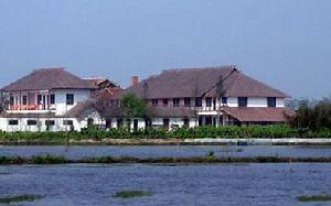 杨墩村