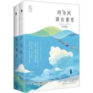 《因为风就在那里》