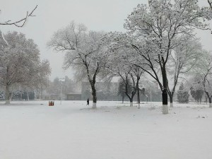 雪景 自然景象 搜狗百科