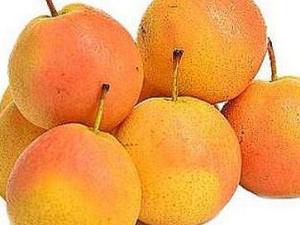 南果梨