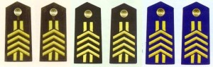 陆海空军四级军士长肩章(1993—1999)