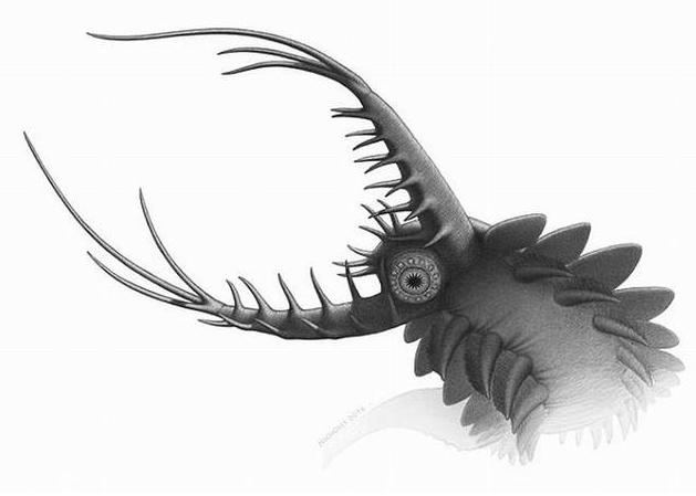 泰坦蟒有多长 0