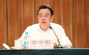 方文浜：区委书记