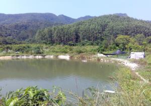 射广嶂山水风光