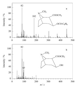 血液中(a)可卡因及(b)代谢产物离子质谱图