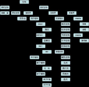 生物分类 研究生物的基本方法 搜狗百科