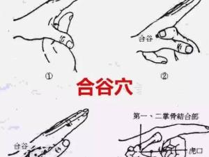 合谷穴