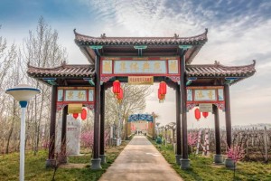 周家庄乡