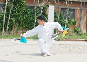 迷踪拳