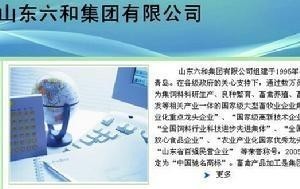 山东六和集团有限公司