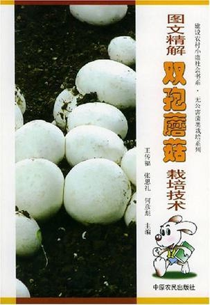 蘑菇种植技术讲解 0