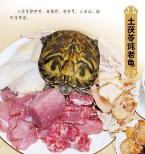土茯苓老龟