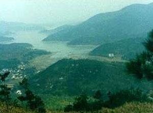 上林湖越窑青瓷遗址图册