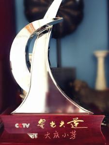大庆小芳图册
