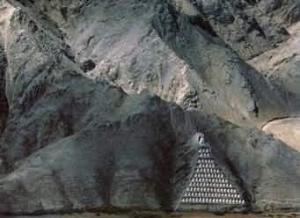 青铜峡鸟岛景色