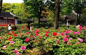 上海植物园