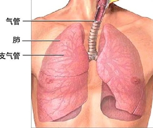 气管炎