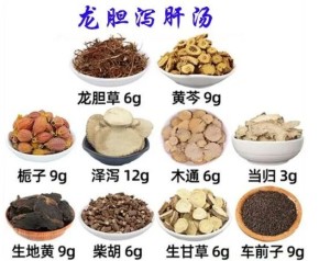 龙胆泻肝汤