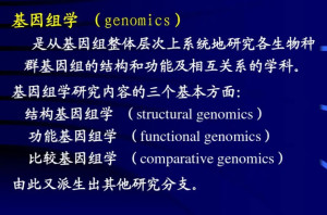 基因组学