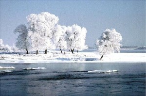 冬季松花江畔的吉林雾凇 冬季松花江畔的吉林雾凇
