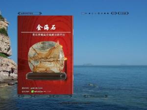 金海石图册