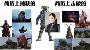 洋子的简历